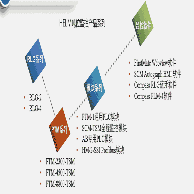 雨花臺(tái)HELM噸位儀模塊PTM系列噸位監(jiān)視系統(tǒng)HELM